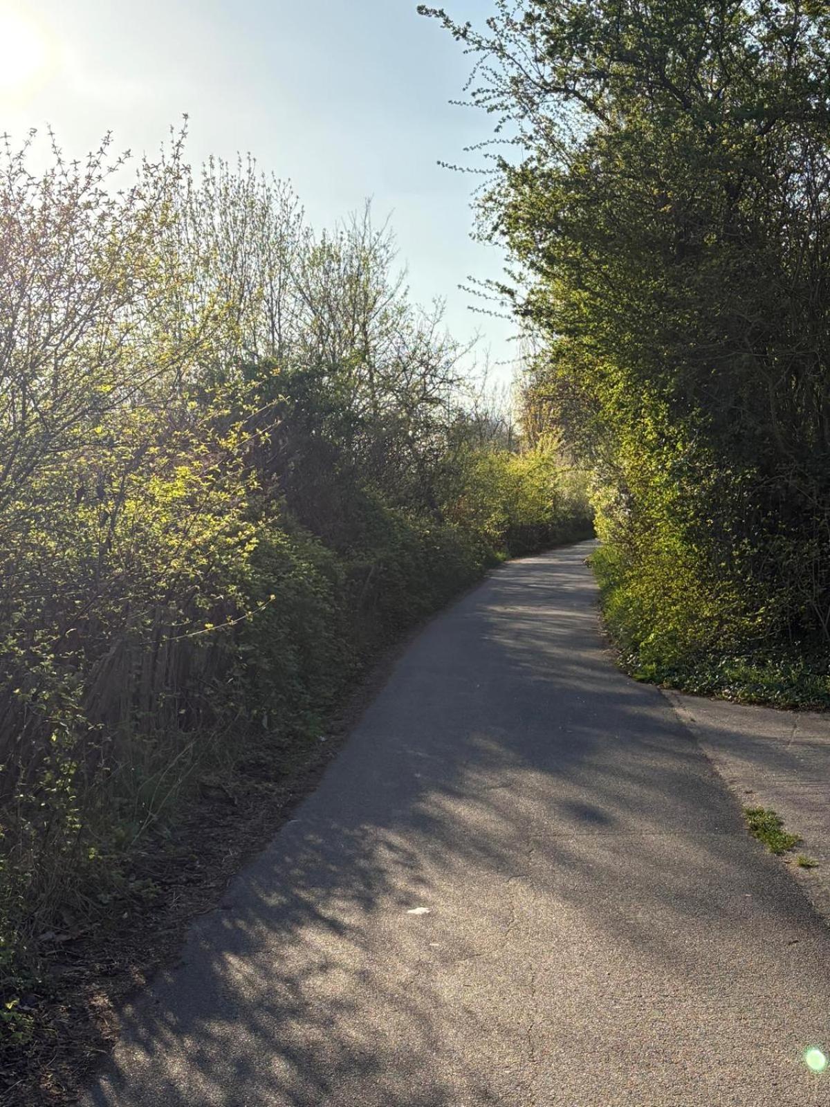 Escale-Marne Fr - 102 - Free Parking - Free Luggage Storage - All Equipped - Linen Included - Washing Machine - 10Mn Walk Metro 8 - Rer A - Panoramic View - From 1 To 4 Guests Maisons-Alfort Kültér fotó